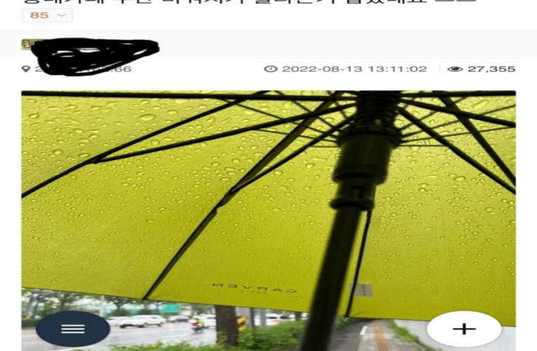 매장 공용 우산통에 우산을 꽂기가 꺼려지는 이유