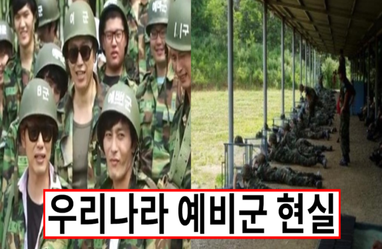예비군으로 보는 한국 군인들의 현실